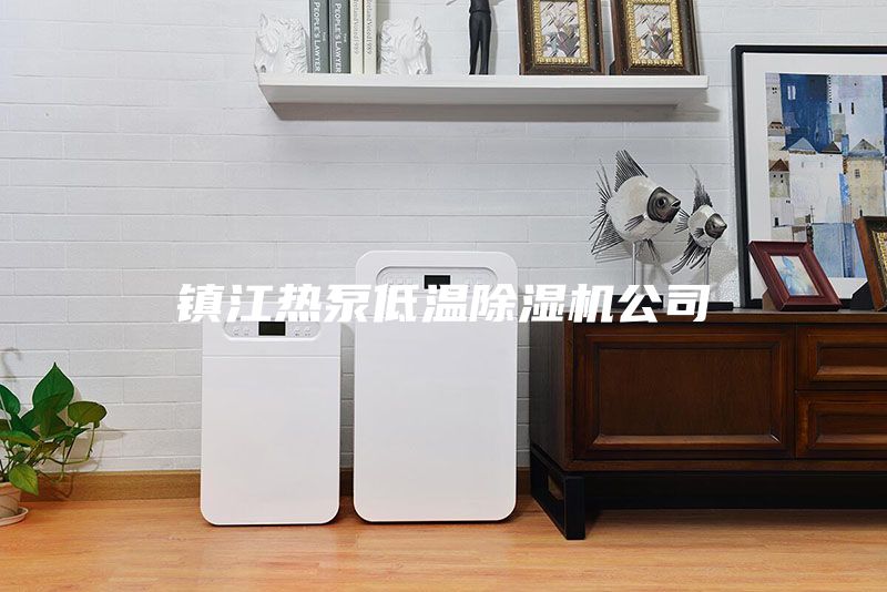 鎮江熱泵低溫除濕機公司