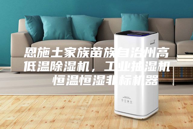 恩施土家族苗族自治州高低溫除濕機，工業(yè)抽濕機  恒溫恒濕非標機器