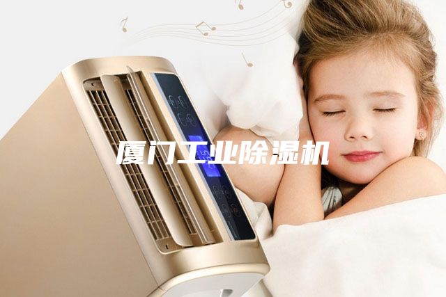 廈門工業(yè)除濕機
