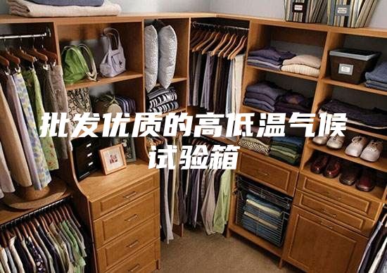 批發(fā)優(yōu)質(zhì)的高低溫氣候試驗(yàn)箱