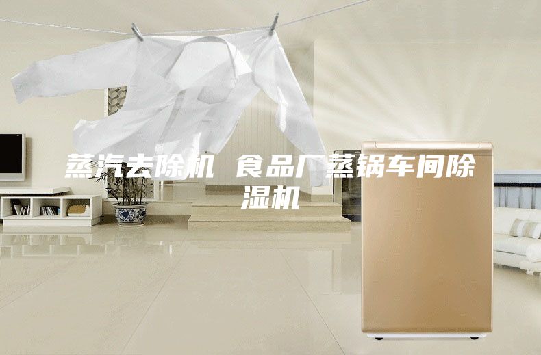 蒸汽去除機 食品廠蒸鍋車間除濕機