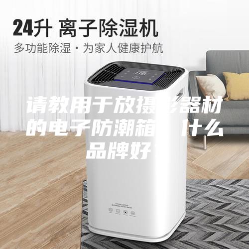 請教用于放攝影器材的電子防潮箱，什么品牌好？