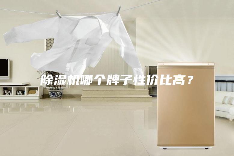 除濕機(jī)哪個(gè)牌子性價(jià)比高？