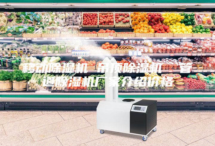 移動(dòng)除濕機(jī) 吊頂除濕機(jī) 管道除濕機(jī)廠家介紹價(jià)格