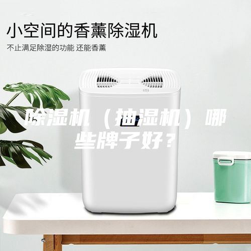 除濕機（抽濕機）哪些牌子好？