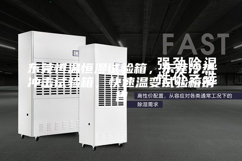 東莞恒溫恒濕試驗箱，東莞冷熱沖擊試驗箱，快速溫變試驗箱銷售