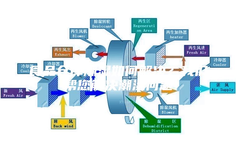 食品倉庫潮濕如何解決？我們幫您解決潮濕問題